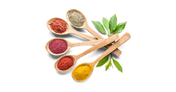 Herbs, Spices & Seasonings